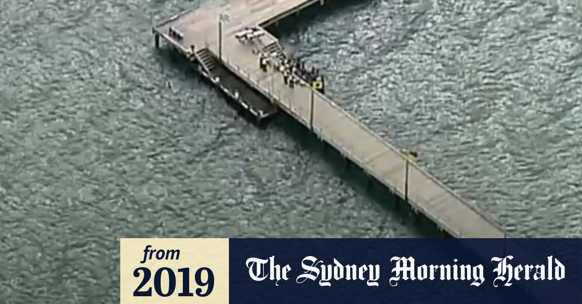 Video Diver struck and killed by boat in Frankston